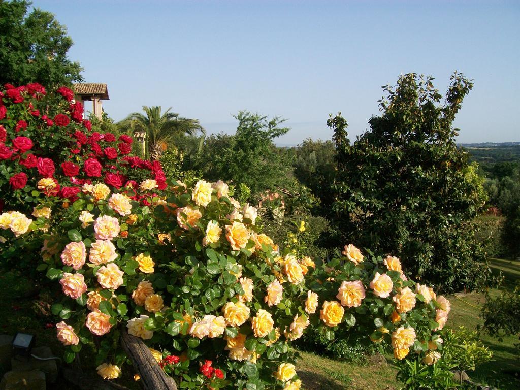 פורמלו Antica Pietrara B&B מראה חיצוני תמונה